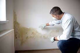 Best Mold Removal for HVAC Installations  in Firthcliffe, NY